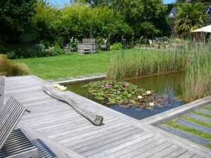 jardin ecologique