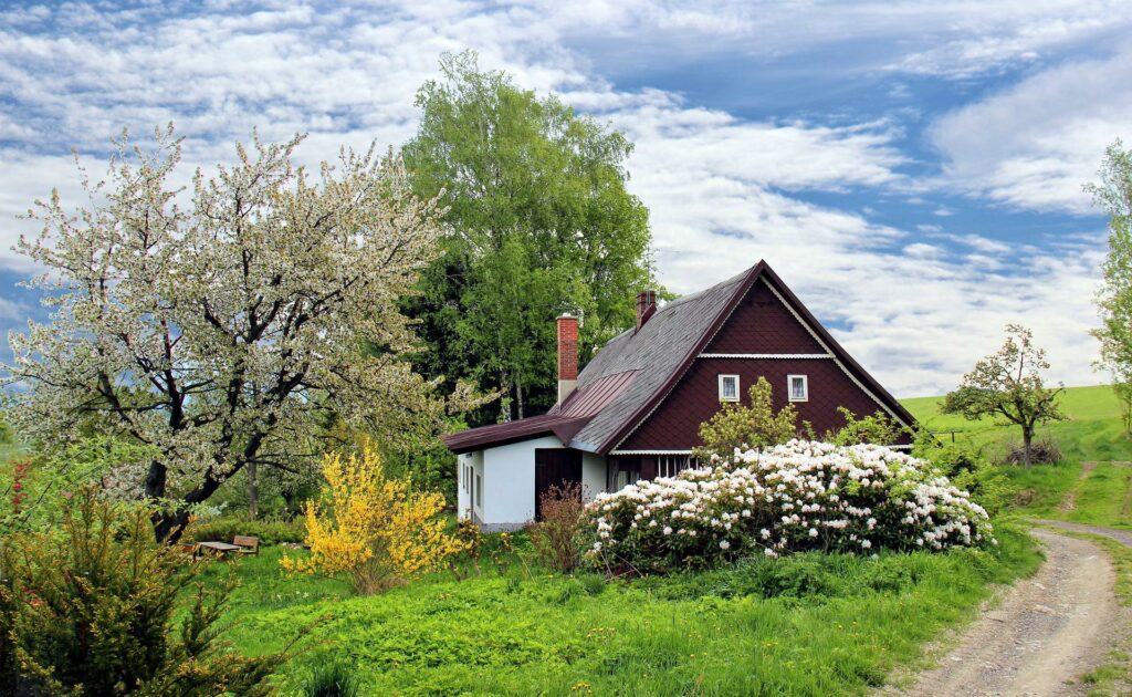 Quelle solution occultante pour son jardin ?